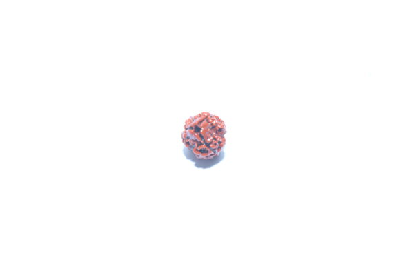 3 Mukhi Rudraksh