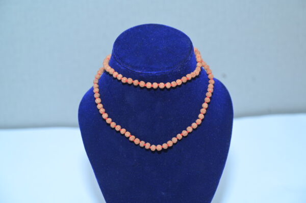 Rudraksh Kanthi