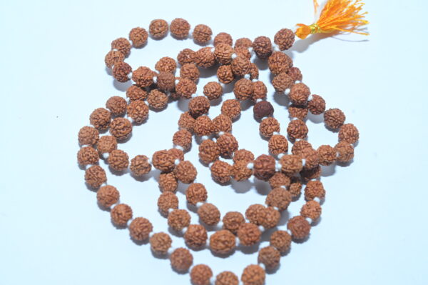 Original Rudraksha Jaap Mala