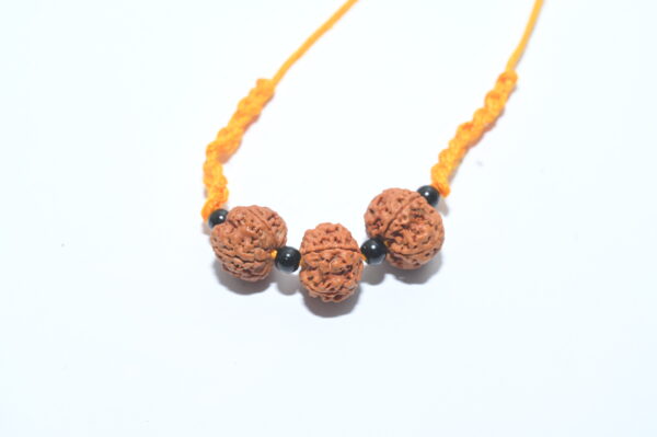 Original 3 Mukhi Style Rudraksha Bracelet (3 Beads) – Adjustable Thread